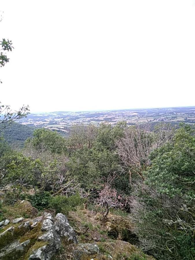 Camping La Foret Du Morvan Larochemillay Bagian luar foto
