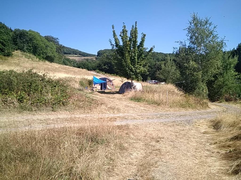 Camping La Foret Du Morvan Larochemillay Bagian luar foto